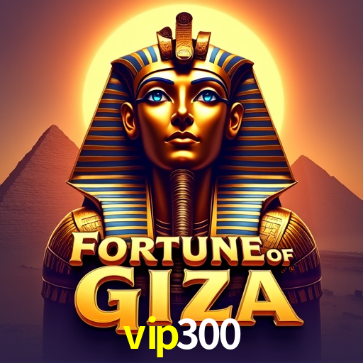 vip300 Rio de Janeiro - Professional Dealers
