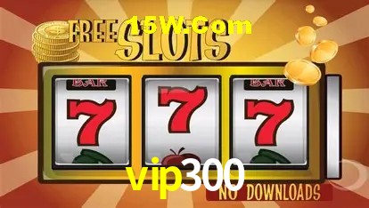 vip300 - Security