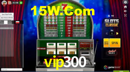 vip300