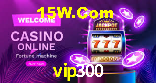 vip300 login